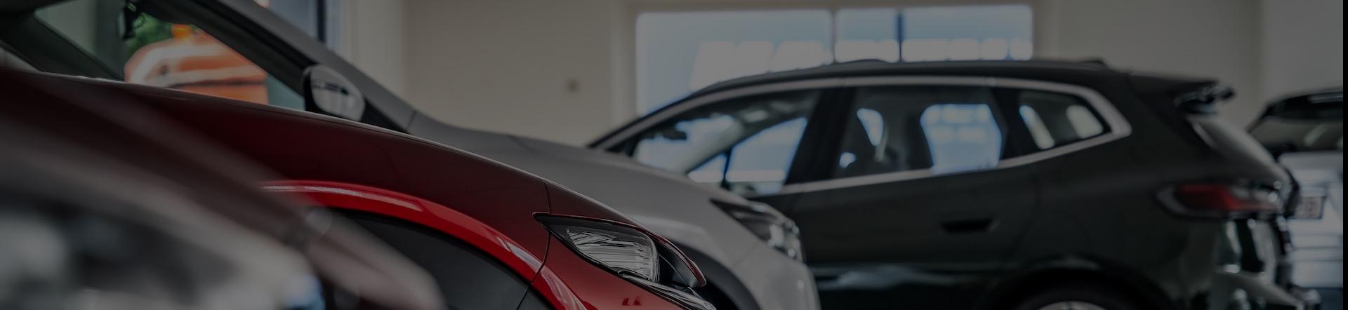 Header Image 1