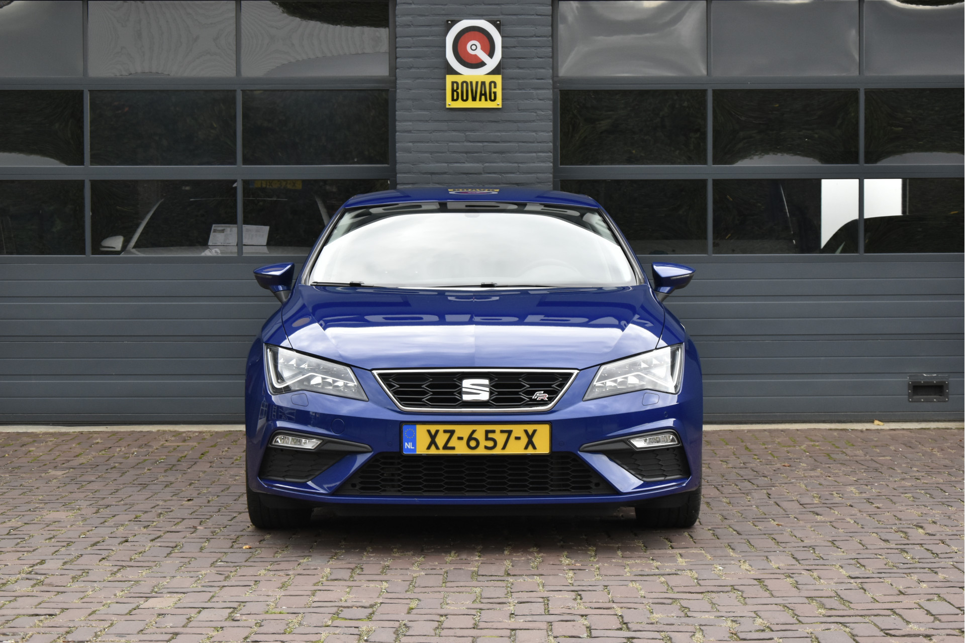 48593670-6.jpg